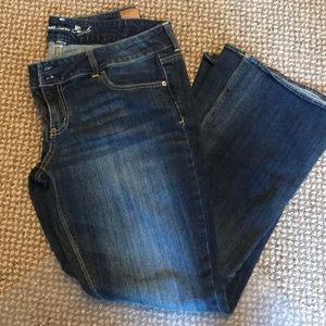 American Eagle Artist Sz 16 Jeans
